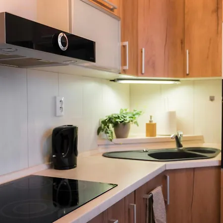 Apartment Stefanik #1